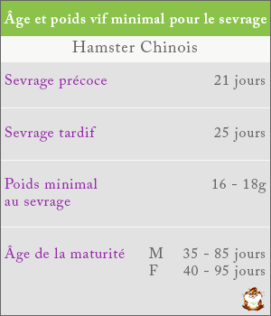 Poids et âge du sevrage chez le hamster chinois