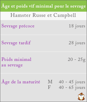Poids et âge du sevrage chez le hamster russe et campbell