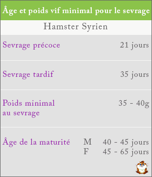 Poids et âge du sevrage chez le hamster roborovski