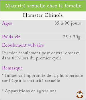 Maturité sexuelle chez les femelles hamsters chinois