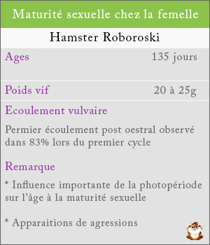 Maturité sexuelle chez les femelles hamsters roborovski