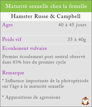 Maturité sexuelle chez les femelles hamsters russe et campbell