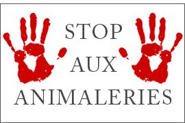 Pourquoi ne faut il pas acheter en animalerie ?