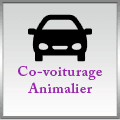 Co-voiturage animalier