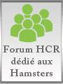 Forum dédié aux hamsters russe