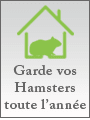 Garde vos hamster toute l'année, pendant vos vacances