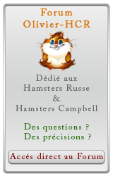 Forum dédié aux hamsters russe et hamsters campbell - Olivier-HCR